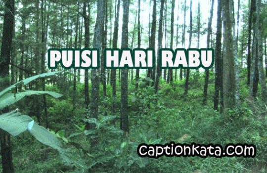 Puisi Tentang Haru Rabu Penuh Semngat Yang Menggebu