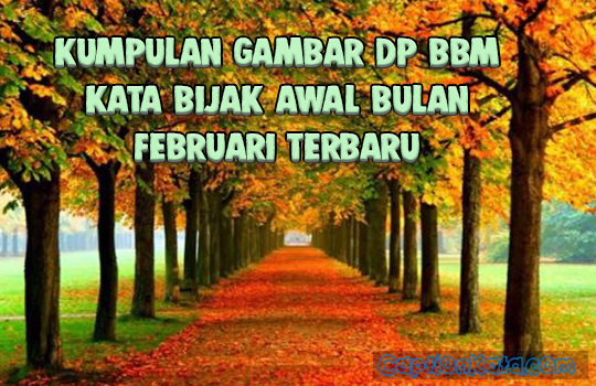 Kumpulan Caption Gambar Kata Bijak Awal Bulan Februari DP BBM Ucapan Menyambut Bulan Kelahiran