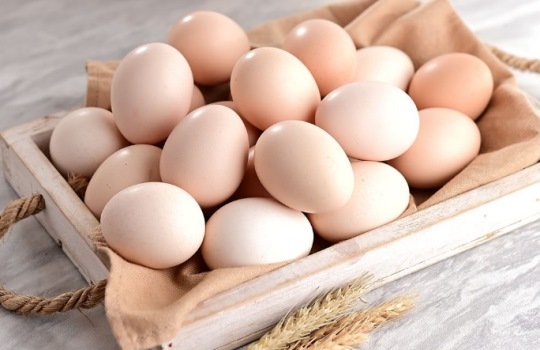 Manfaat Telur Ayam Kampung untuk Kesehatan yang Perlu Diketahui